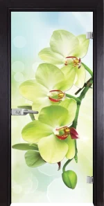 Стъклена врата Print G 13-3 Green, Венге