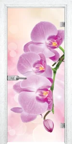 Стъклена врата Print G 13-3 Pink, Бреза