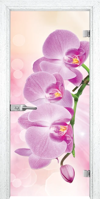 Стъклена интериорна врата Print G 13-3 Pink
